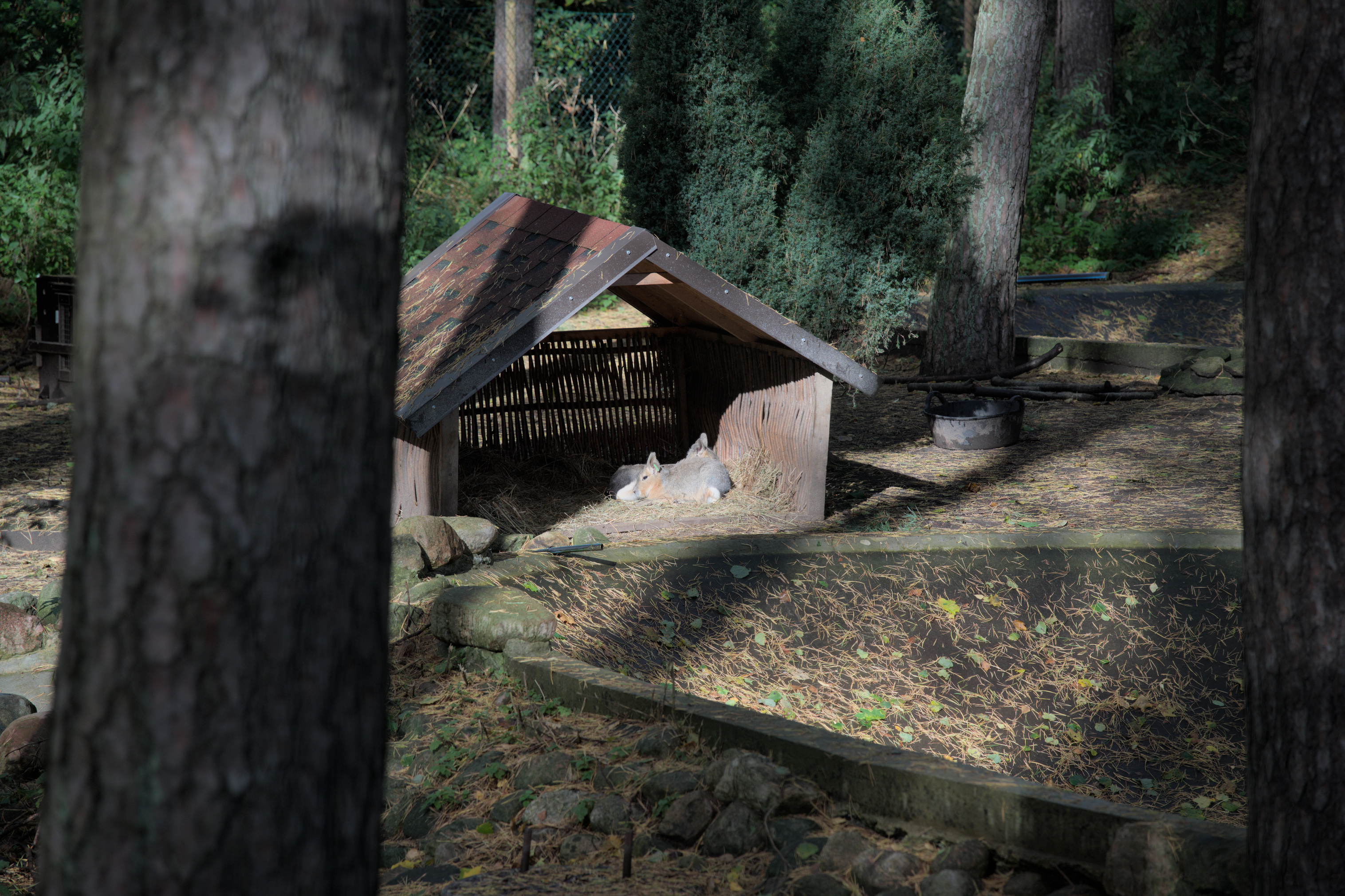 2025/10/12 - zoo/DSC_0007.jpg